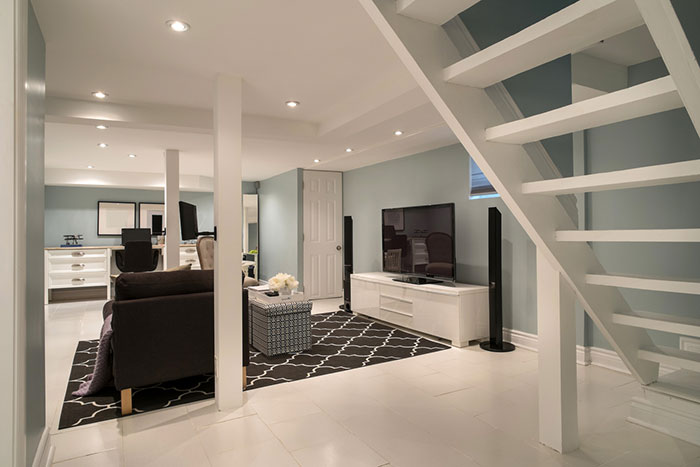 Basement Remodeling Project
